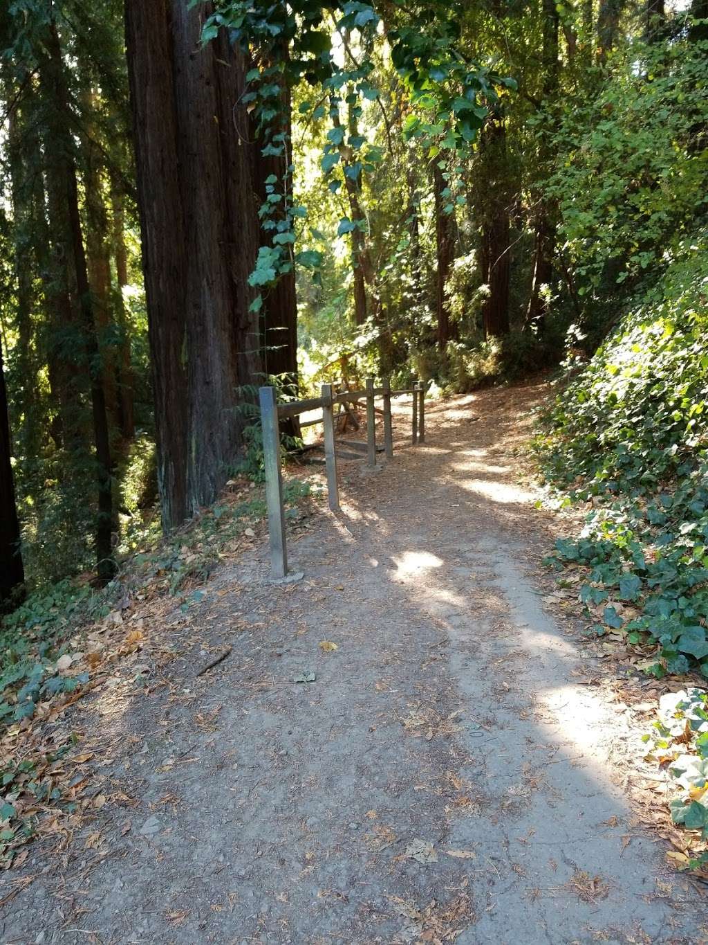 Bridgeview Trail at Monterey Blvd | 37°4903. 122°1216., 9 4th St, Oakland, CA 94607