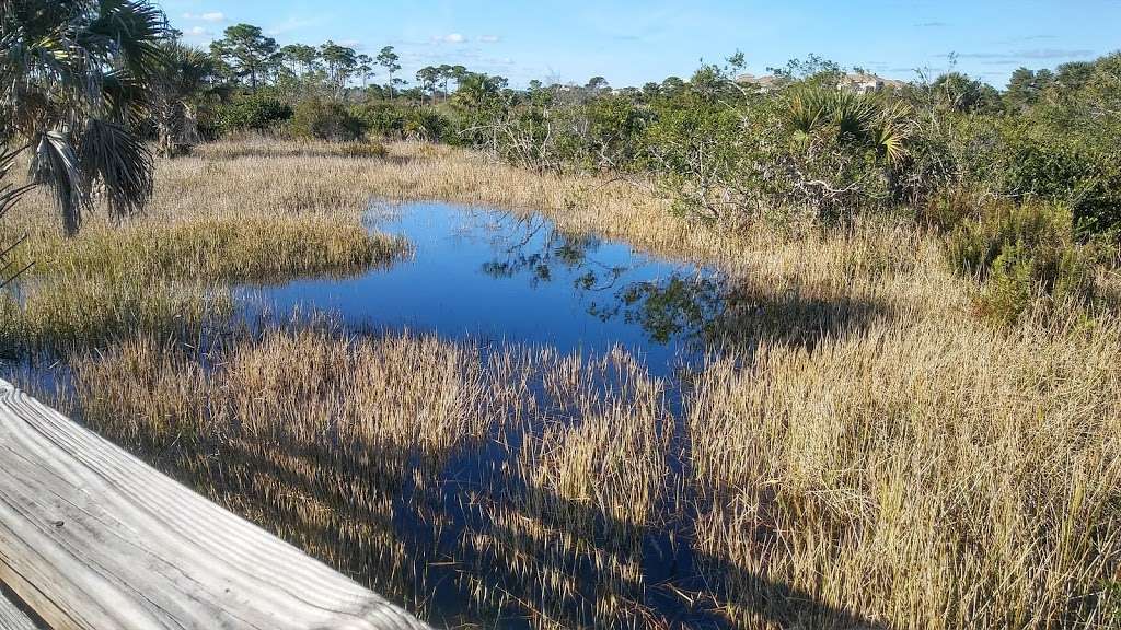 Jupiter Ridge Natural Area | 1800 US-1, Jupiter, FL 33477, USA | Phone: (561) 233-2400