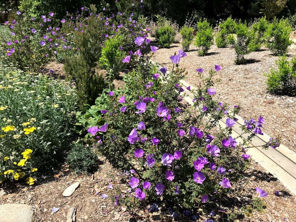 Lilac Garden | La Cañada Flintridge, CA 91011, USA