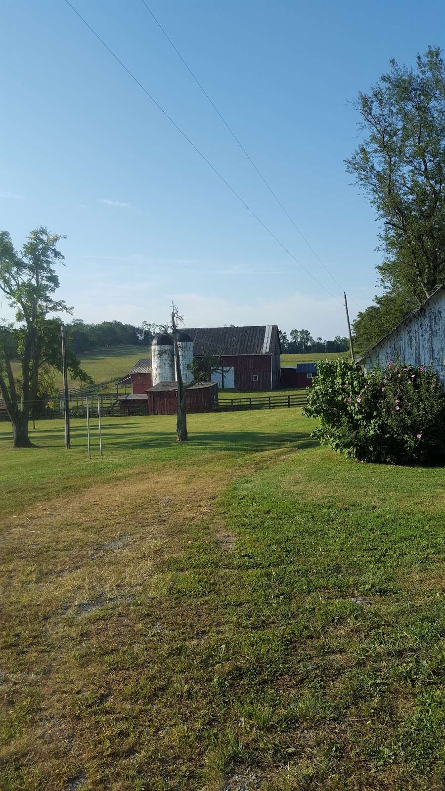 TangleTwig Farm B & B | 36011 Creamer Ln, Purcellville, VA 20132, USA | Phone: (540) 668-6345