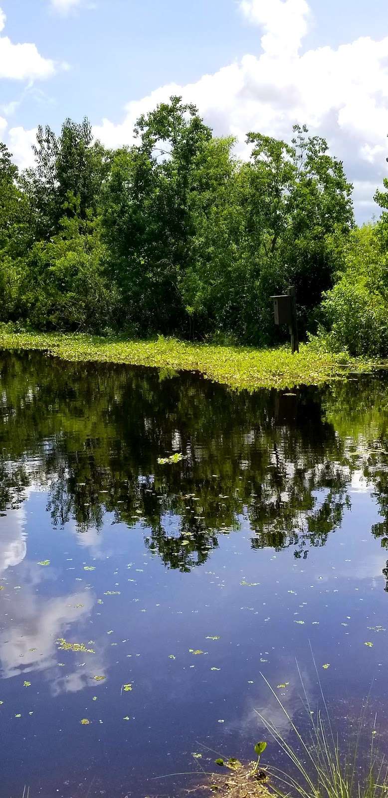 Pine Meadows Conservation Area | 2280 Pine Meadows Golf Course Rd, Eustis, FL 32726, USA | Phone: (352) 253-4950