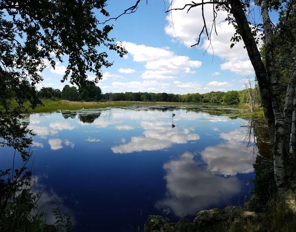 Wayne F. McCallum Wildlife Management Area | Rice Ln, Westborough, MA 01581