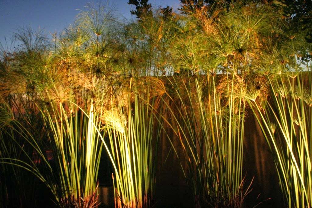Illuminated Concepts Inc. | 23011 Moulton Parkway, Suite D7, Laguna Hills, CA 92653, USA | Phone: (949) 455-9914
