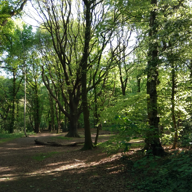 Exercise with Friends: Nordic Walking UK in Hampstead | The Spaniards Inn, Spaniards Road, London NW3 7JJ, UK | Phone: 07989 967459