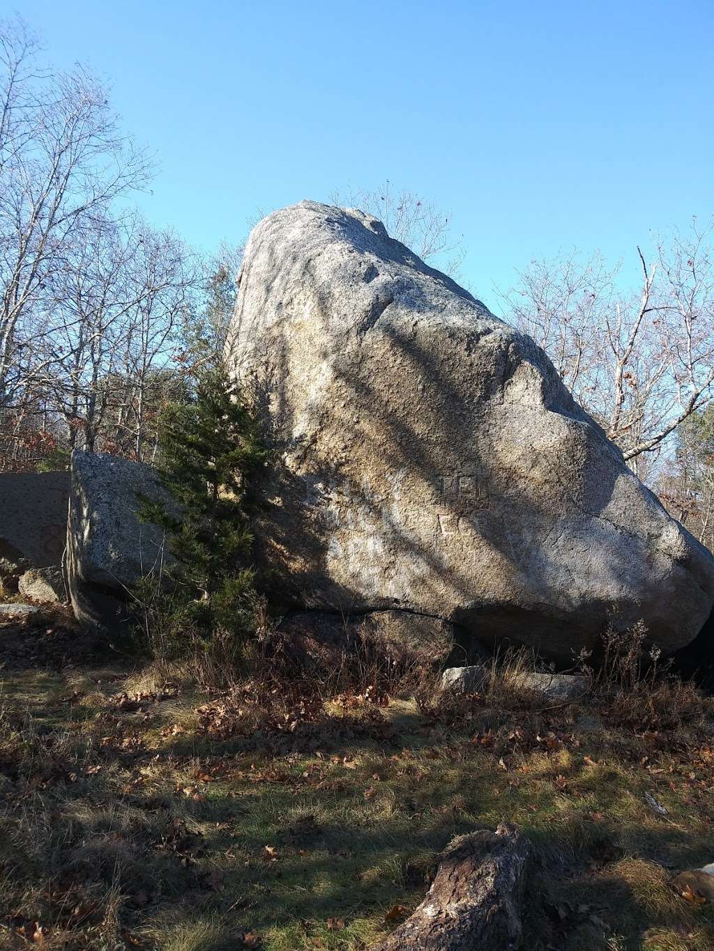 Whales jaw | Gloucester, MA 01930