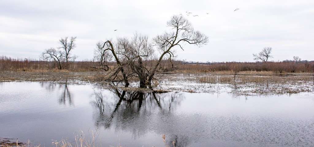 Princes Point Wildlife Area | N1098 Co Rd D, Whitewater, WI 53190, USA