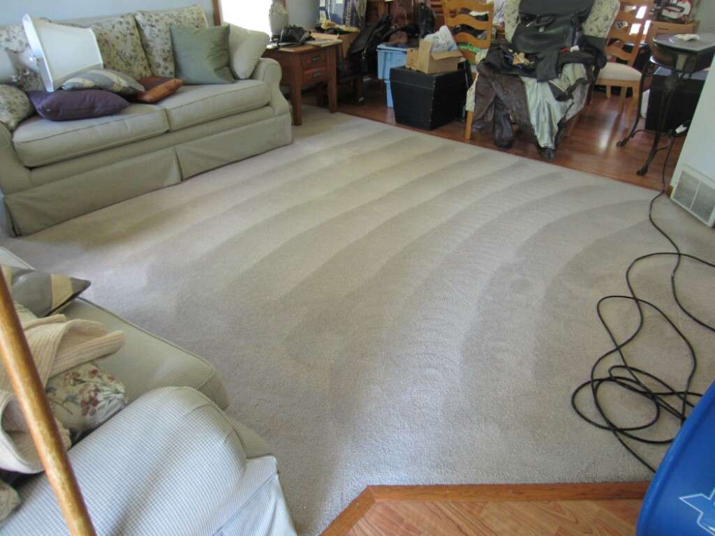 New Dawn Carpet Cleaning | 1526 S Austin Blvd, Cicero, IL 60804, USA | Phone: (708) 263-7838