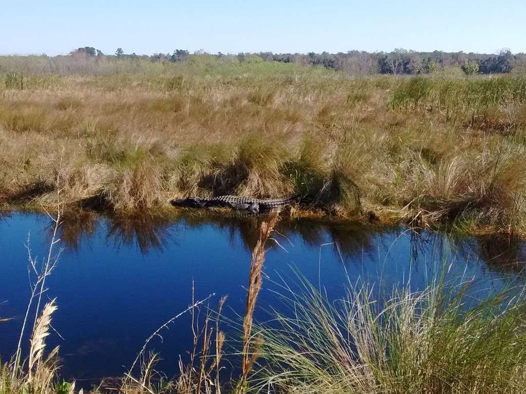 Lake Woodruff National Wildlife Refuge | De Leon Springs, FL 32130 | Phone: (386) 985-4673