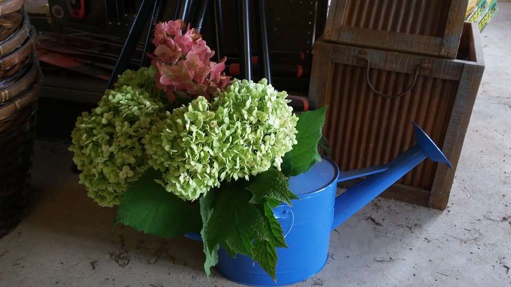 Buck Run Nursery & Landscape, 3660 Stoney Batter Rd, Mercersburg, PA 17236