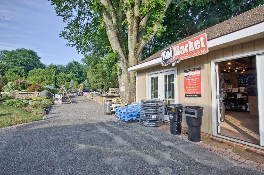 Koi Market Aquatic Gardens | 475 Main St, Huntington, NY 11743, USA | Phone: (516) 809-6771