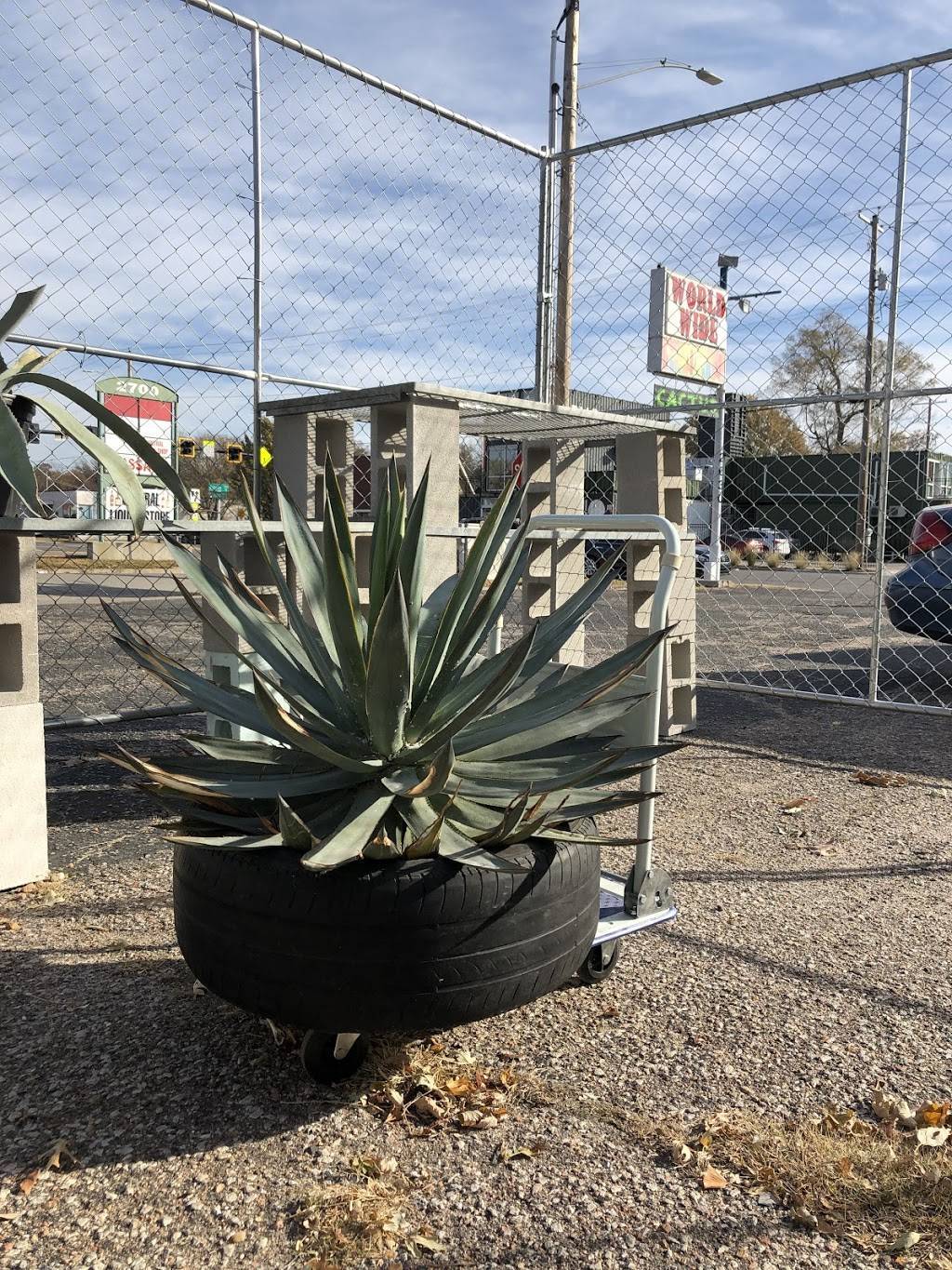 Worldwide Cactus And Exotics | 2630 E Central Ave, Wichita, KS 67214, USA | Phone: (316) 260-1997