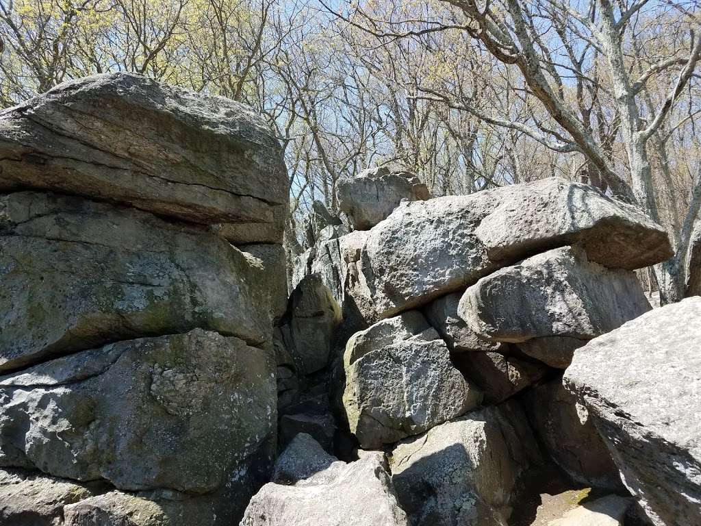 Rocks State Park - Rock Ridge Picnic Area | Jarrettsville, MD 21084, USA