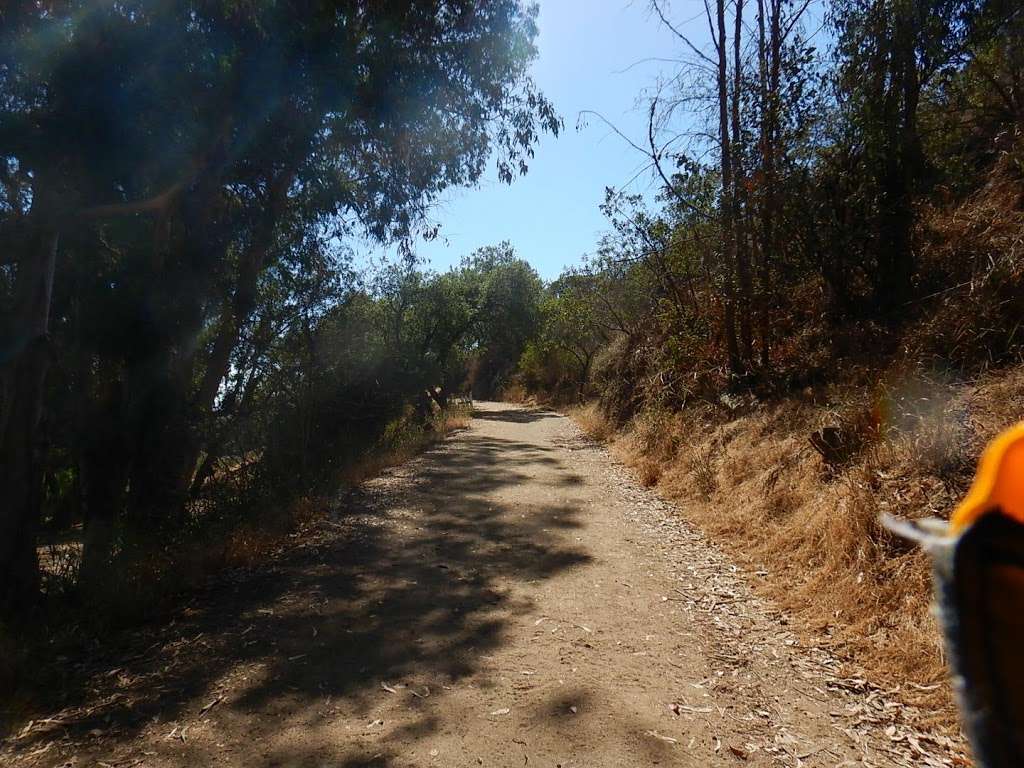 Backbone Trail Head, Will Rogers State Park | 1515 Service Rd, Pacific Palisades, CA 90272, USA