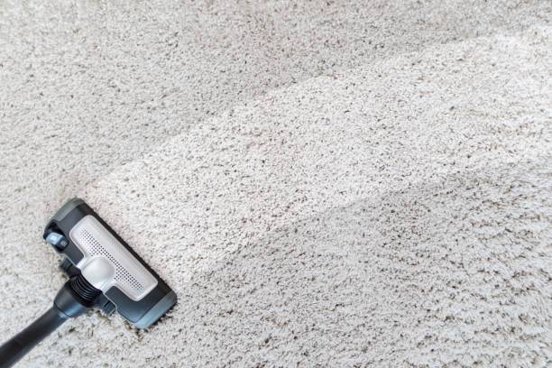 CUY Carpet Cleaner | 382 NJ-3, Clifton, NJ 07014, USA | Phone: (973) 860-3743