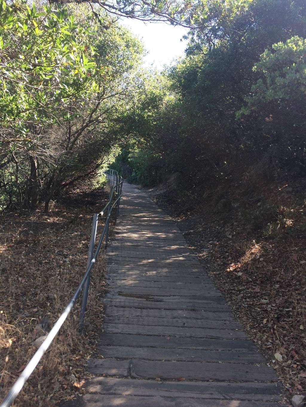 Mt. Tamalpais State Park Visitor Center | Mill Valley, CA 94941, USA