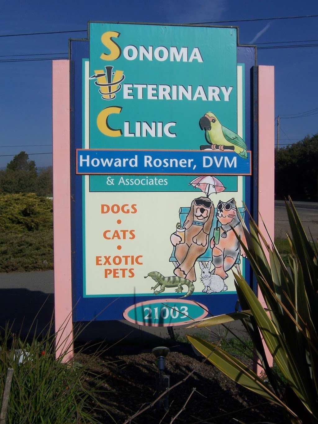 Sonoma Veterinary Clinic | 21003 Broadway, Sonoma, CA 95476, USA | Phone: (707) 938-4455