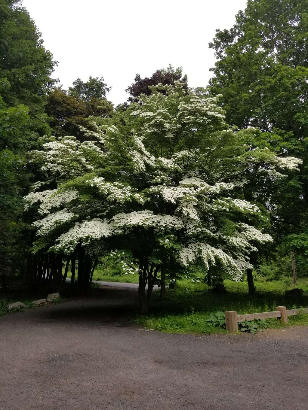 Bennetts Pond State Park | 550-698 Bennetts Farm Rd, Ridgefield, CT 06877, USA