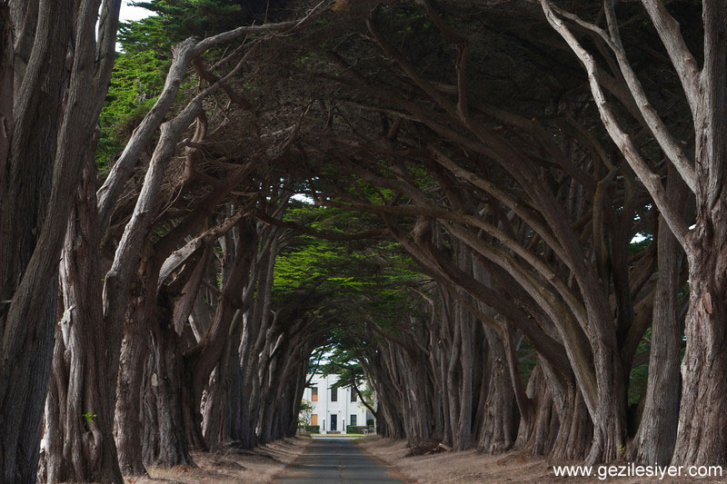 Point Reyes National Seashore | 1 Drakes Beach Rd, Inverness, CA 94937, USA