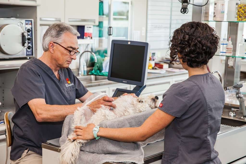 Cabrillo Pet Hospital | 4134 Voltaire St, San Diego, CA 92107, USA | Phone: (619) 225-9684