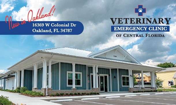 Veterinary Emergency Clinic of Central Florida | 16369 W Colonial Dr, Oakland, FL 34787, USA | Phone: (407) 644-4449 ext. 5