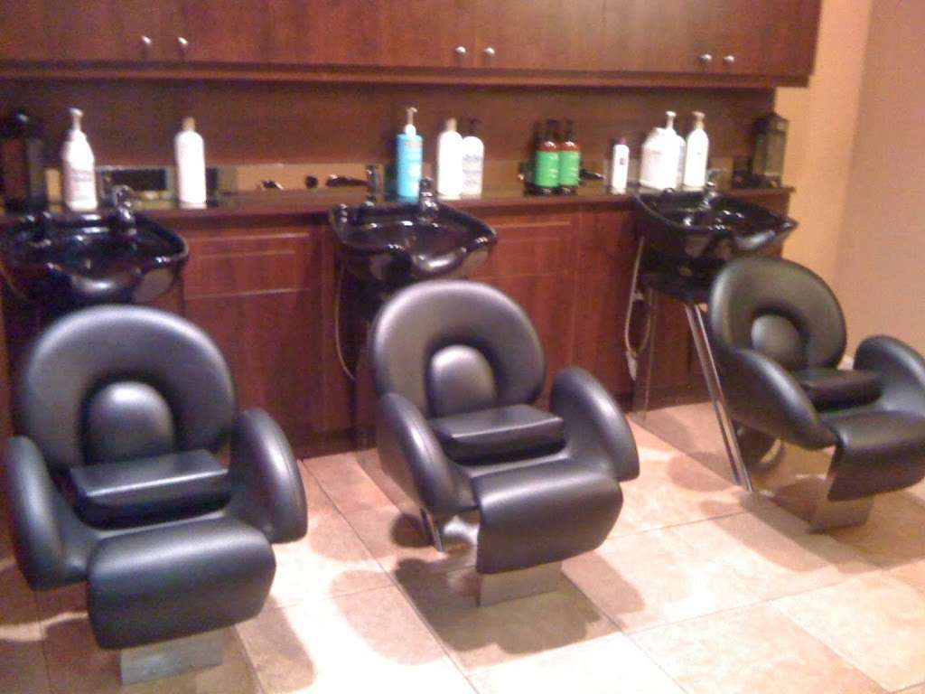 Salon Viva | 165 Alfred Lord Blvd, Taunton, MA 02780, USA | Phone: (508) 828-9399