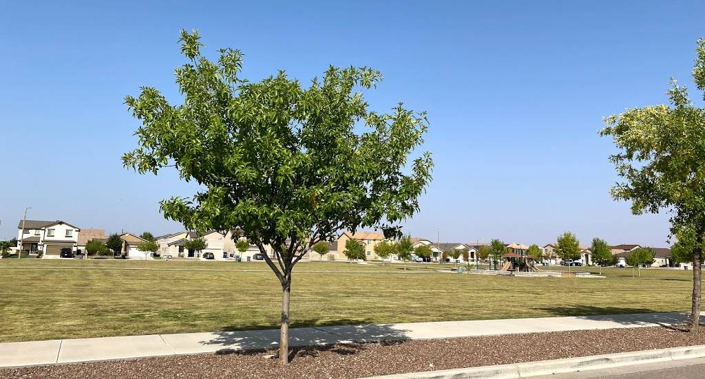 Sunny Brook Park | 14577 Alton Oaks, El Paso, TX 79938, USA | Phone: (915) 212-0000