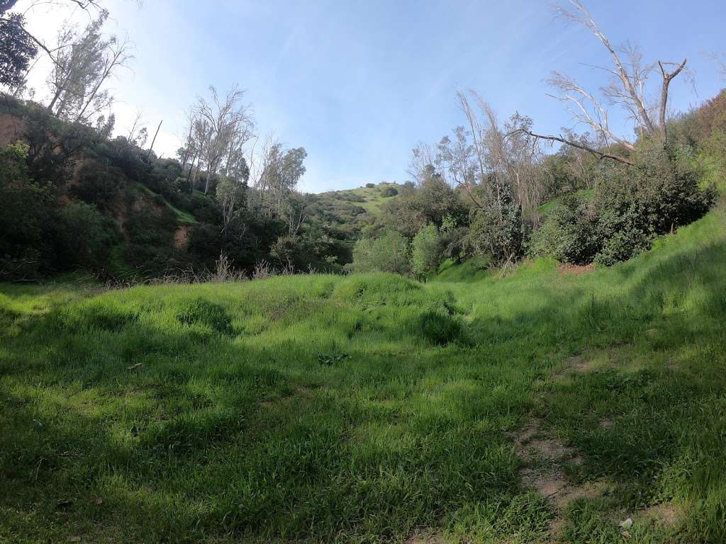 Old LA Zoo Picnic Area | Los Angeles, CA 90027