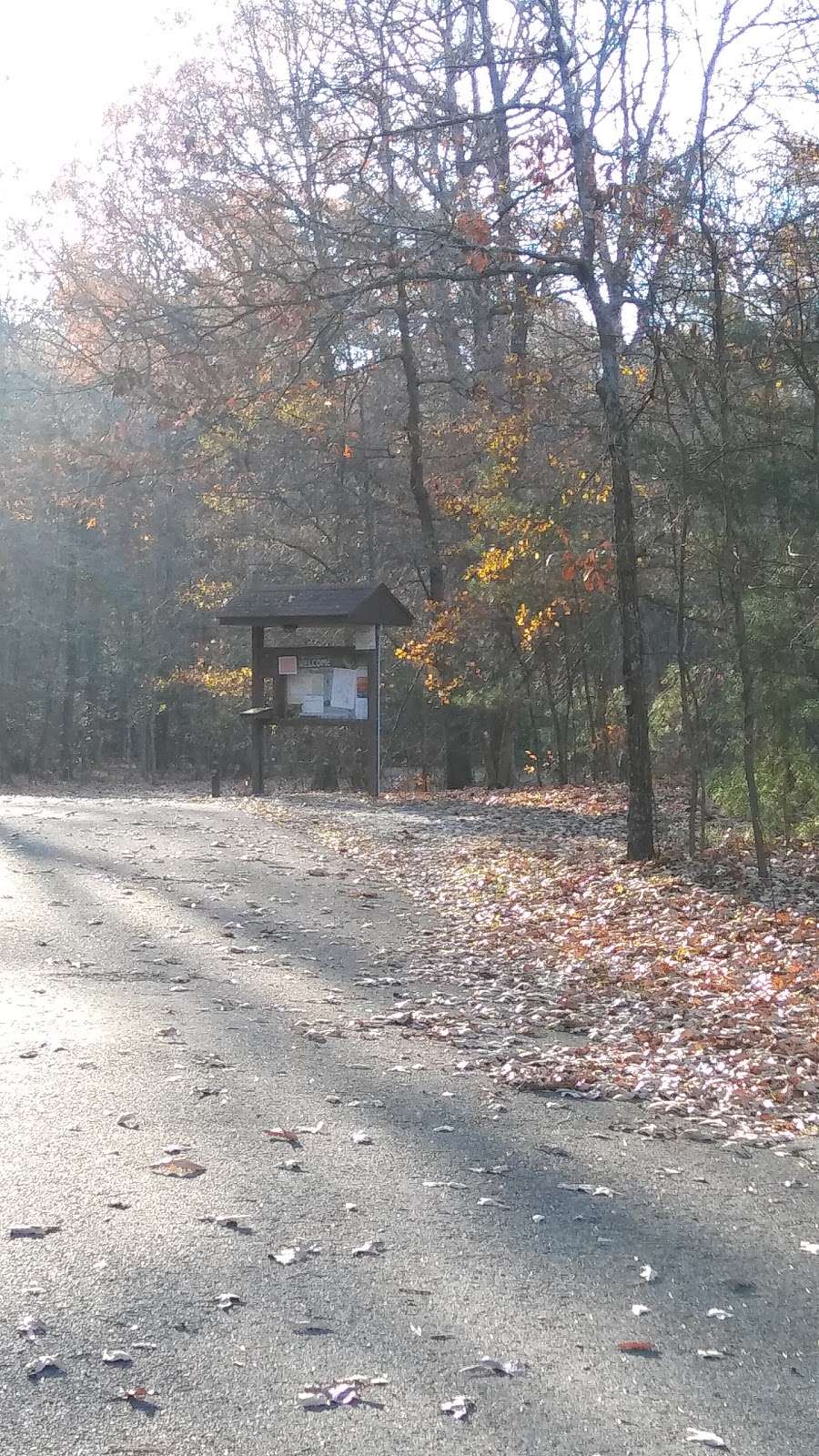 Martinak State Park, Campground, Loop A | Denton, MD 21629 | Phone: (410) 820-1668