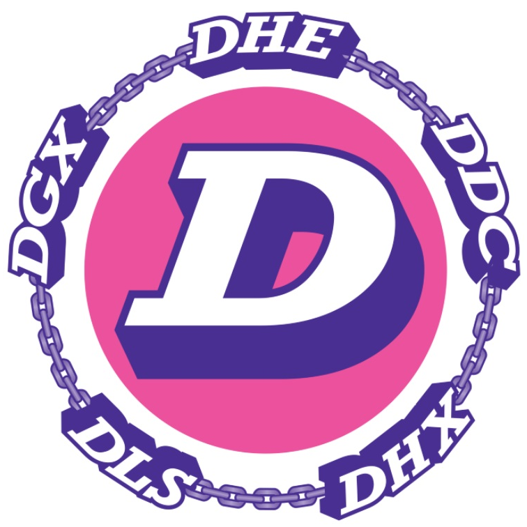 DHE - Dependable Highway Express | 2440 S 48th Ave, Phoenix, AZ 85043, USA | Phone: (602) 278-4401