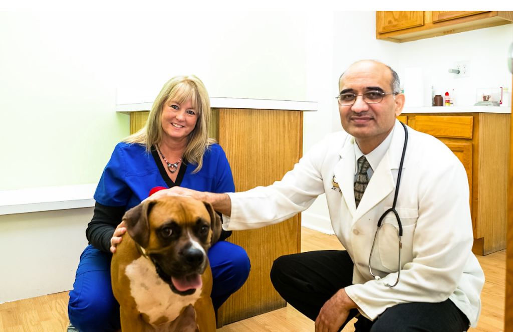 Gentle Care Veterinary Clinic | 23901 W Industrial Dr N, Plainfield, IL 60585 | Phone: (815) 254-4126