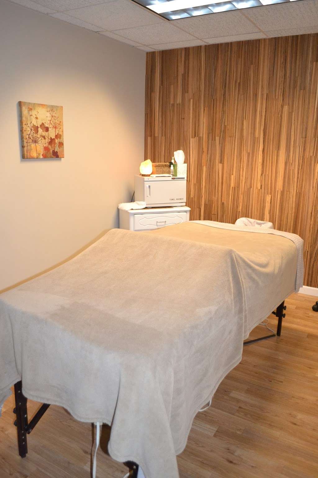 BodyWise Wellness & Spa | 4235 Green Bay Rd, Kenosha, WI 53144, USA | Phone: (262) 652-1418