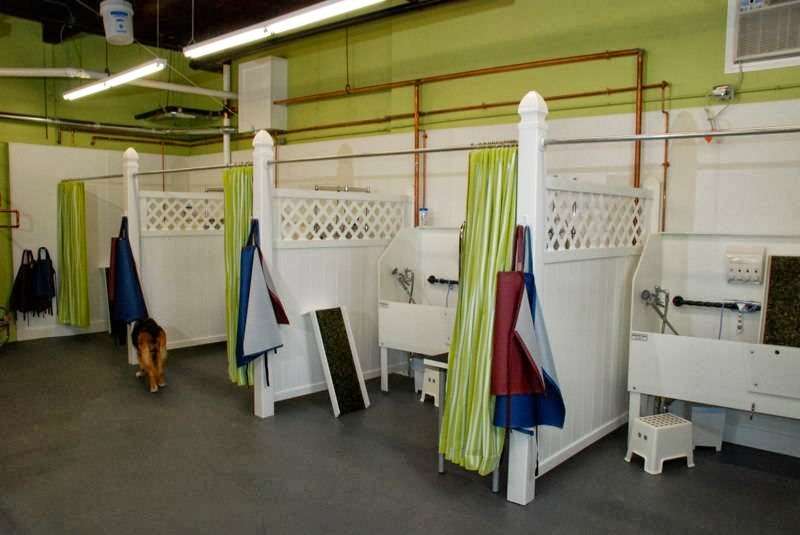 Medway Dog Wash | 161 Main St, Medway, MA 02053 | Phone: (508) 533-2833