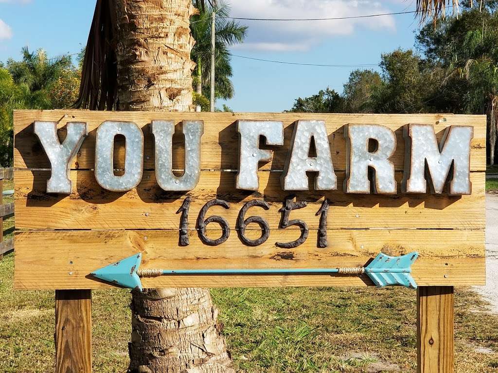 You Farm | 16651 Rembrandt Road, Loxahatchee, FL 33470 | Phone: (561) 315-7410