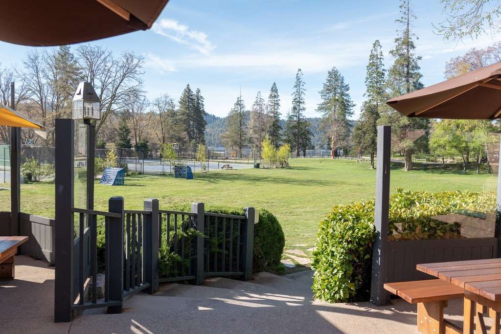 Bruin Woods | 850 Willow Creek Rd, Lake Arrowhead, CA 92352, USA | Phone: (909) 337-2478