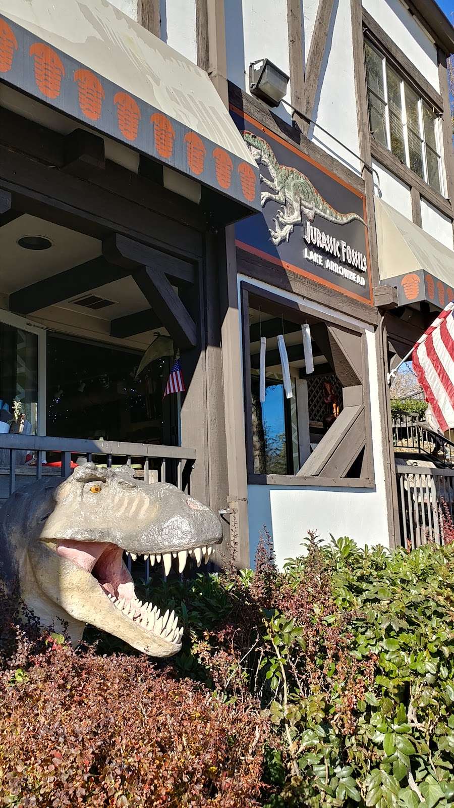 Jurassic Fossils | 28200 CA-189, Lake Arrowhead, CA 92352 | Phone: (909) 589-9045