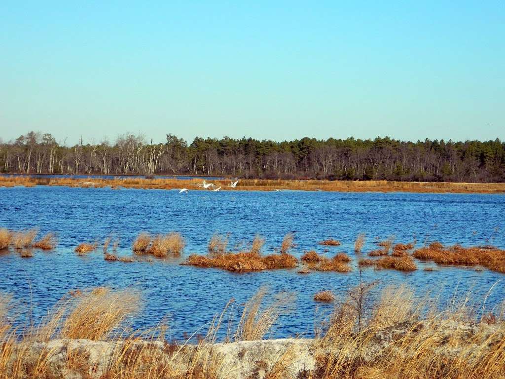 Brendan T. Byrne State Forest | Highway Route 72 East, New Lisbon, NJ 08064, USA | Phone: (609) 726-1191