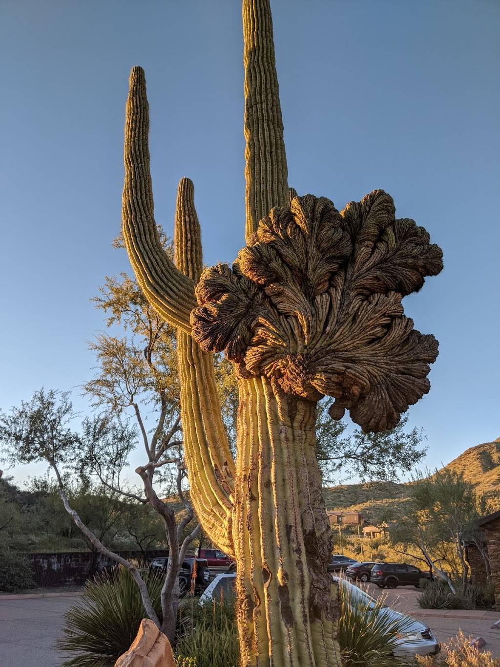 Dixie Mine Trailhead Parking | 14597 E Golden Eagle Blvd, Fountain Hills, AZ 85268, USA | Phone: (602) 506-2930