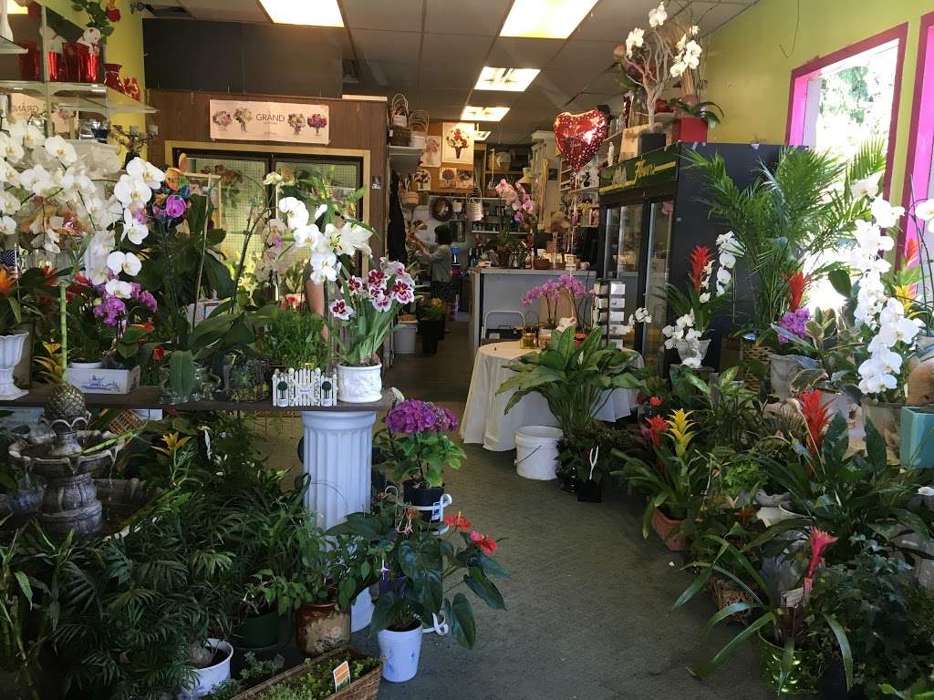 Almaden Valley Florist | 1173 Redmond Ave, San Jose, CA 95120, USA | Phone: (408) 268-0266