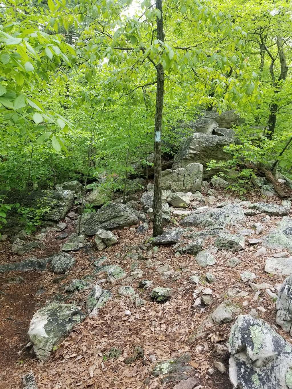 Center Point Knob | Appalachian Trail, Boiling Springs, PA 17007