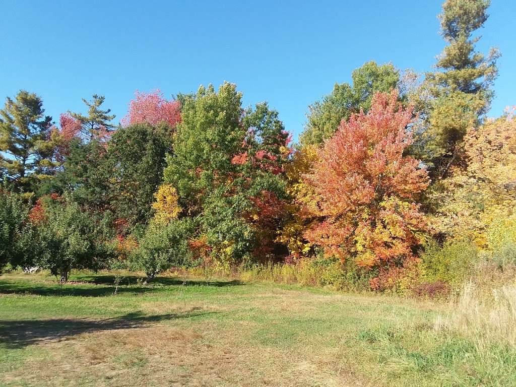 Kimballs Fruit Farm Stand | 184 Hollis St, Pepperell, MA 01463, USA | Phone: (978) 433-9751