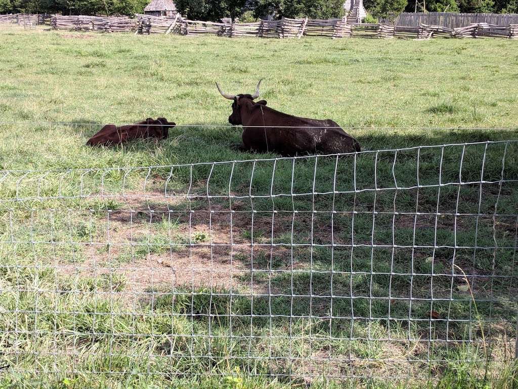 National Colonial Farm at Piscataway Park | 3400 Bryan Point Rd, Accokeek, MD 20607 | Phone: (301) 283-2113