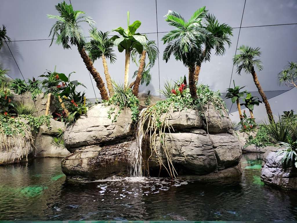 moody gardens aquarium | 9540 Seawall Blvd, Galveston, TX 77554, USA