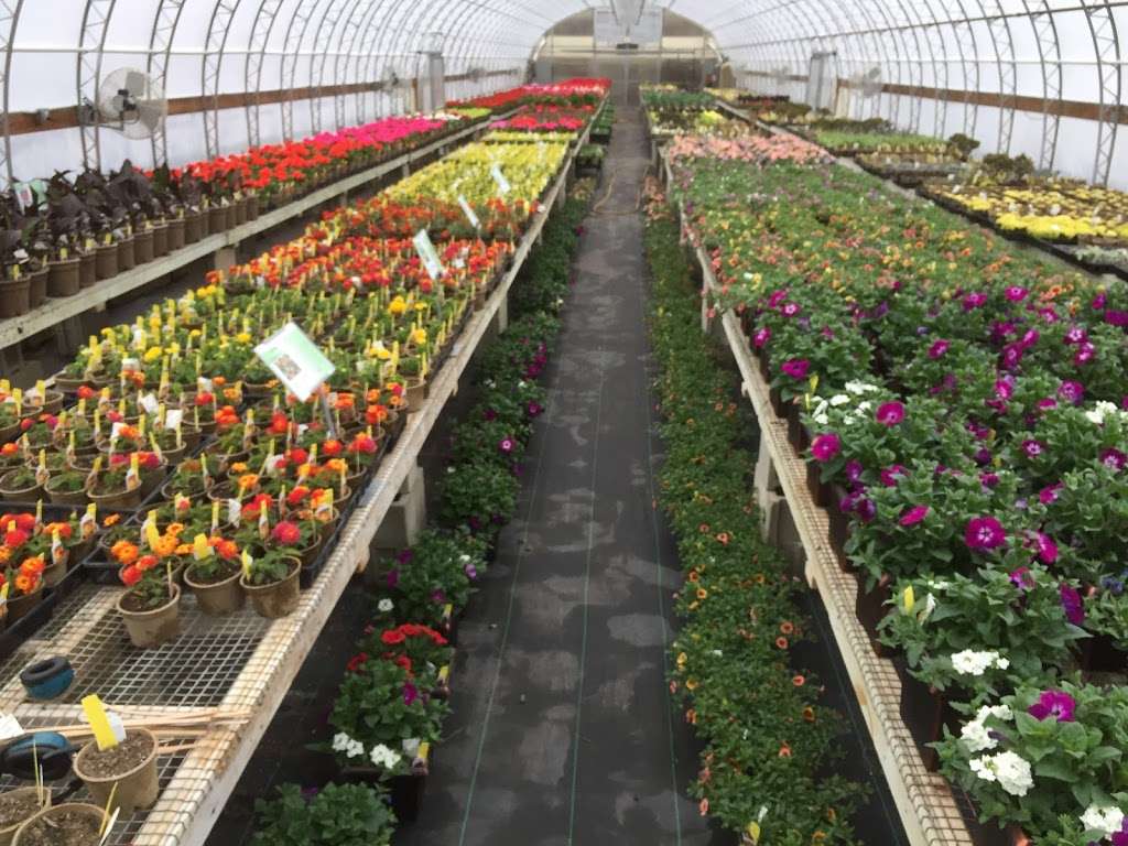 The Greenhouse of Crystal Lake | 4317 State Rte 31, Crystal Lake, IL 60012, USA | Phone: (847) 331-8659