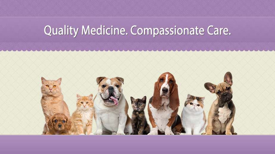 Animal Hospital of Richboro | 700 2nd St Pike, Richboro, PA 18954, USA | Phone: (215) 322-9900