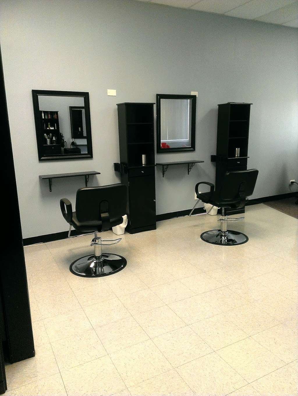 Epic Salon | 1487 Fair Oaks Rd, Carol Stream, IL 60188, USA | Phone: (630) 433-0581