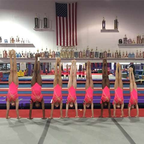 1st Class Gymnastics | 451 Defense Hwy, Annapolis, MD 21401, USA | Phone: (410) 224-0721