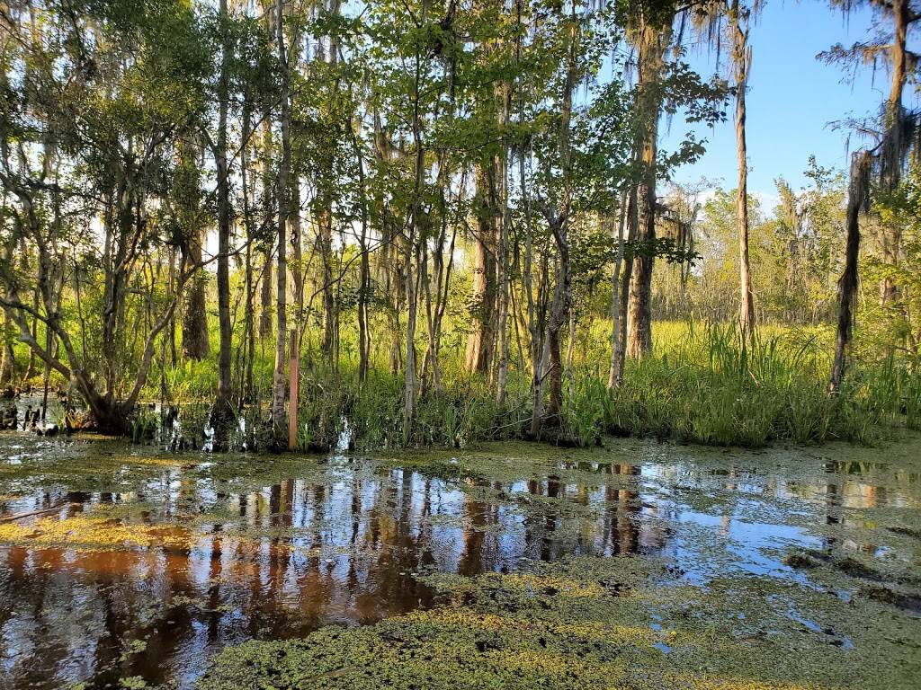 Bayou Segnette State Park | 7777 Westbank Expy, Westwego, LA 70094, USA | Phone: (504) 736-7140