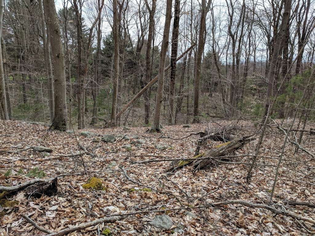 Rehoboth State Forest | Rehoboth, MA 02769, USA