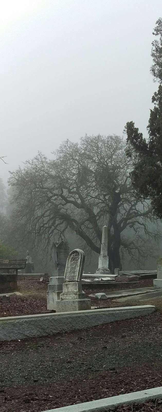 Alhambra Cemetery | 211 Foster St, Martinez, CA 94553, USA