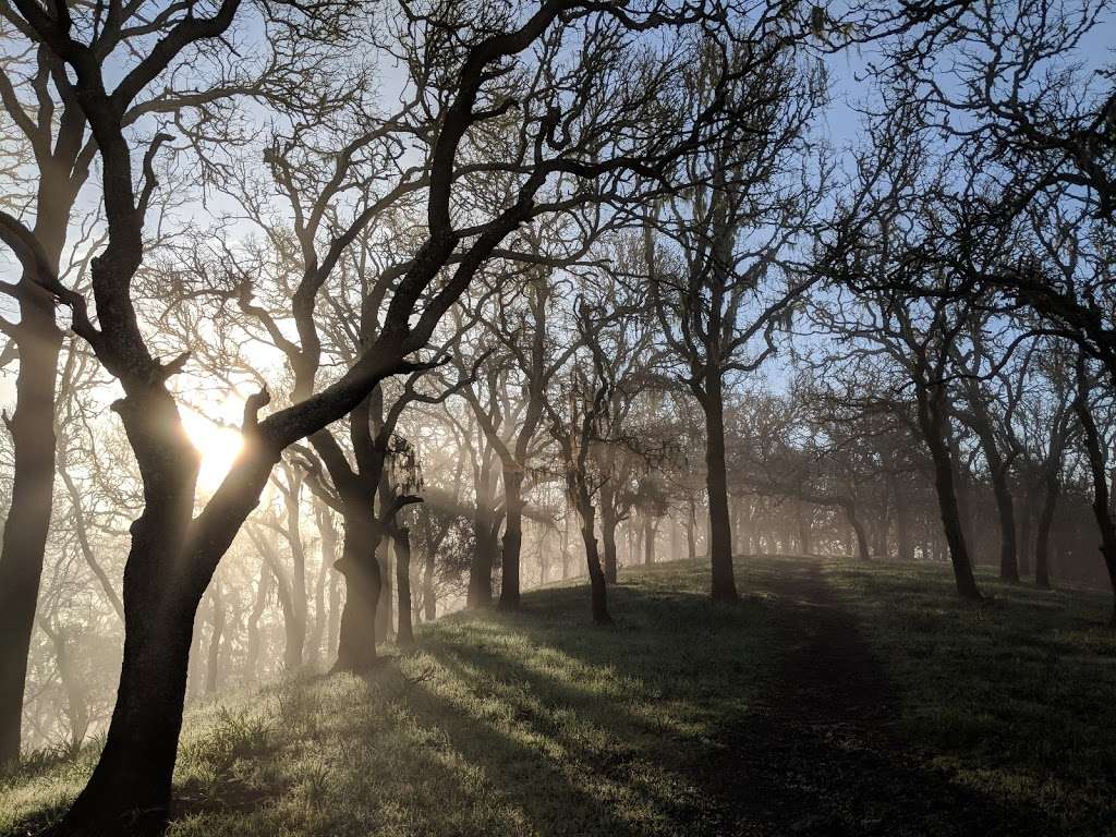 Sonoma Valley Regional Park | 13630 Sonoma Hwy, Glen Ellen, CA 95442, USA | Phone: (707) 539-8092